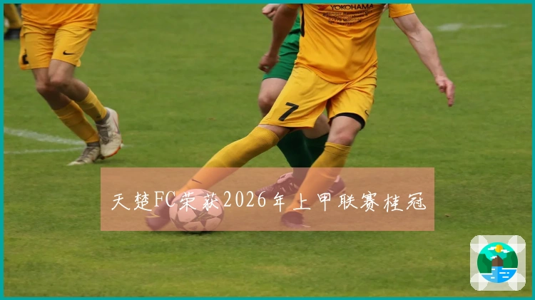天楚FC荣获2026年上甲联赛桂冠